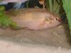DSC00035.JPG