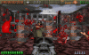 rott5.gif rott5.gif