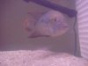 DSC07759.JPG