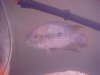 DSC07763.JPG