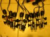 DSCN7960.JPG