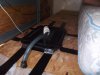 DSCF6118.JPG