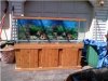 150 GALLON.jpg 150 GALLON.jpg