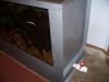 100_3239.JPG