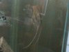 DSC00059.JPG