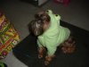 DSC02290.JPG