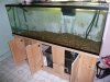 135 gallon tank 003 (Small).jpg