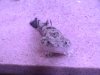 PIC_0059.JPG