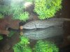 DSCN3974.JPG