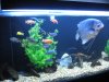 240 gal 332.jpg