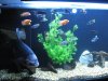 240 gal 327.jpg
