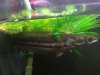 12102010296.JPG
