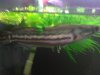 12102010297.JPG
