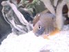 DSC06447.JPG