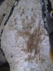 DSC06499.JPG