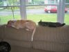100_4359.JPG