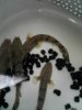 1105061129a.jpg