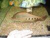 DSC02593.jpg