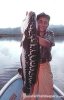 Giant Snakehead.JPG