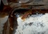 DSC_7112.JPG
