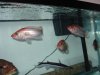 DSC02486.JPG