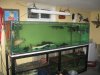 tank 001.JPG