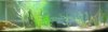 fulltank2pvc.JPG