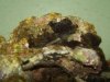 90Gswtank 018.jpg