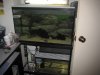 29gal.JPG