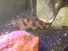 100_0024.JPG