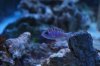 DSC_0117.JPG