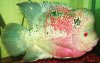 100_3546.JPG
