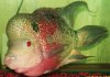 100_3559.JPG