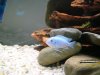 DSC06719.JPG