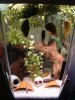 DSC06706.JPG
