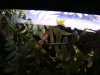 DSC06704.JPG