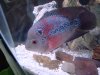 DSC05642.JPG