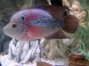 DSC05638.JPG