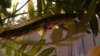 DSC06824.JPG