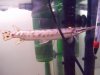 dat vid and gar pics 008.JPG