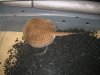 IMG_6954.JPG
