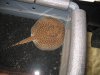 IMG_6968.JPG