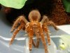 Animal Pics Dec 19th 013 (Large).jpg