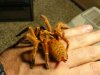 Animal Pics Dec 19th 097 (Large).jpg