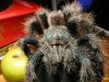 Animal Pics Dec 19th 121 (Large).jpg