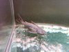 IMG00759-20101102-2136.jpg
