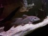 IMG00773-20101102-2139.jpg
