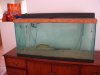 90gallon2.jpg