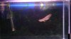 DSC07924.JPG