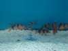 DSC01272.JPG